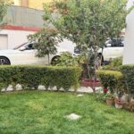 WhatsApp Image 2025-12-21 at 15.19.43