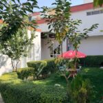 WhatsApp Image 2025-12-21 at 15.19.48